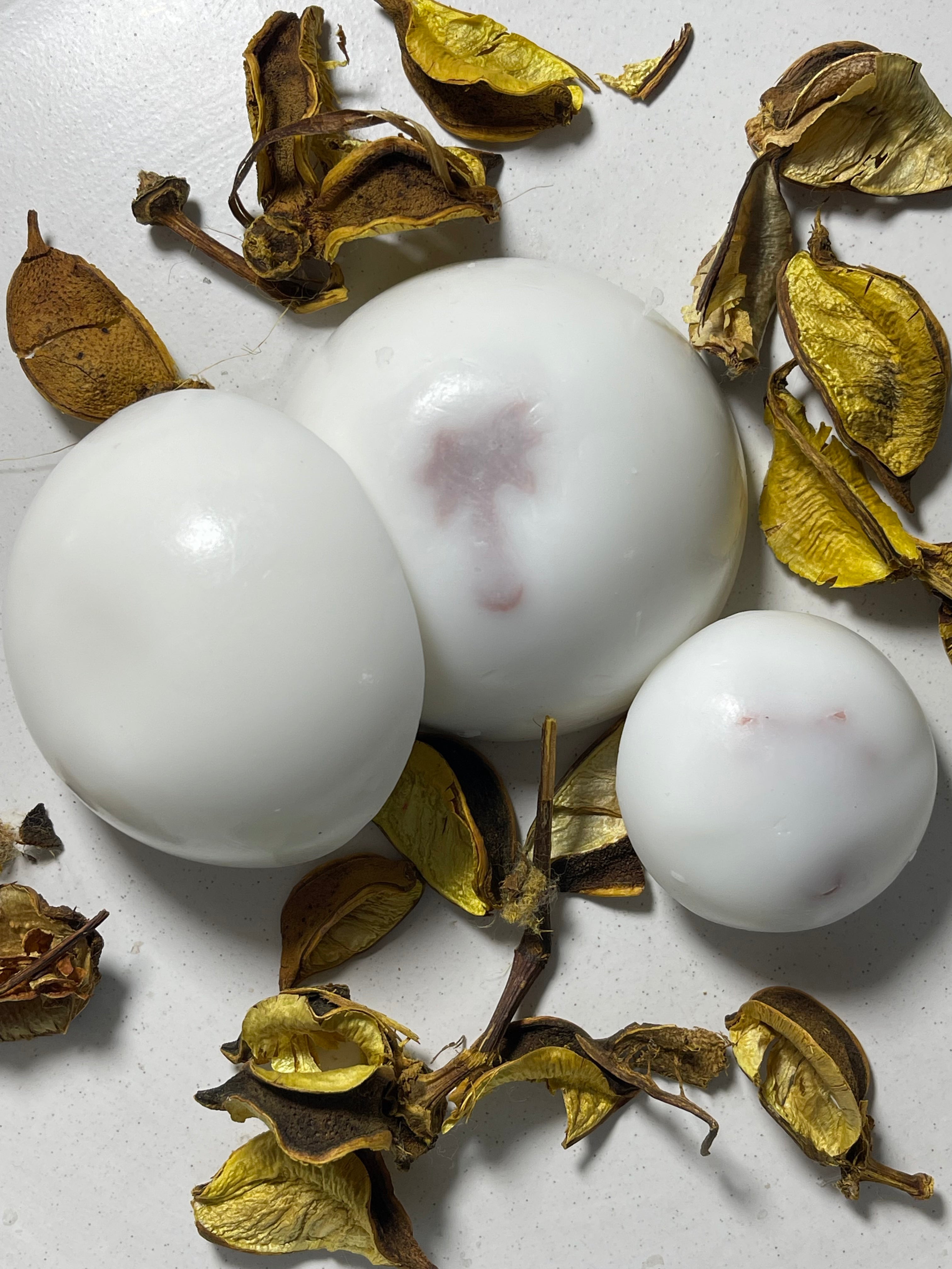 Coconut Silk Soap Bar